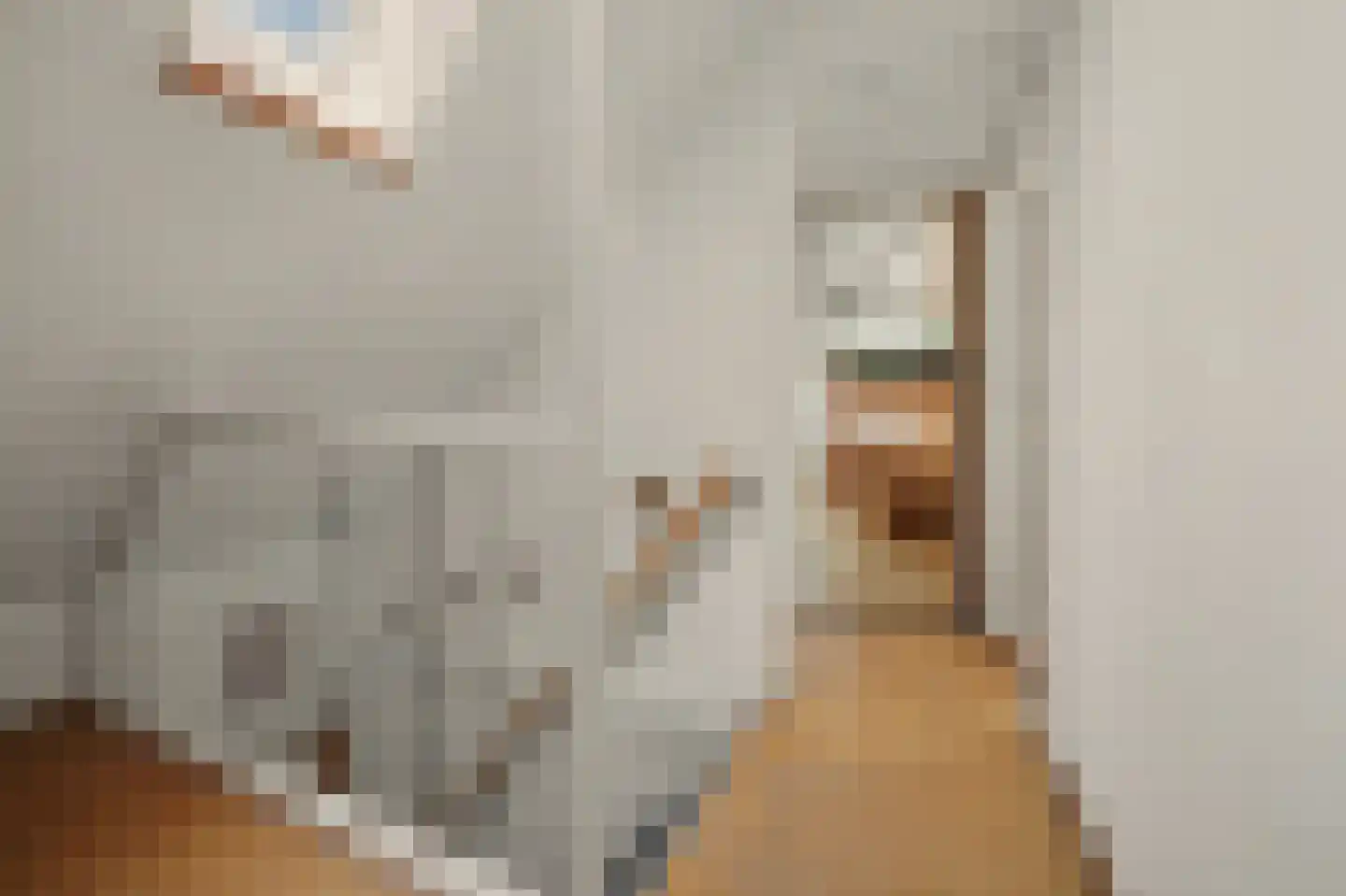Julianastraat 10 Ooltgensplaat thumbnail 14