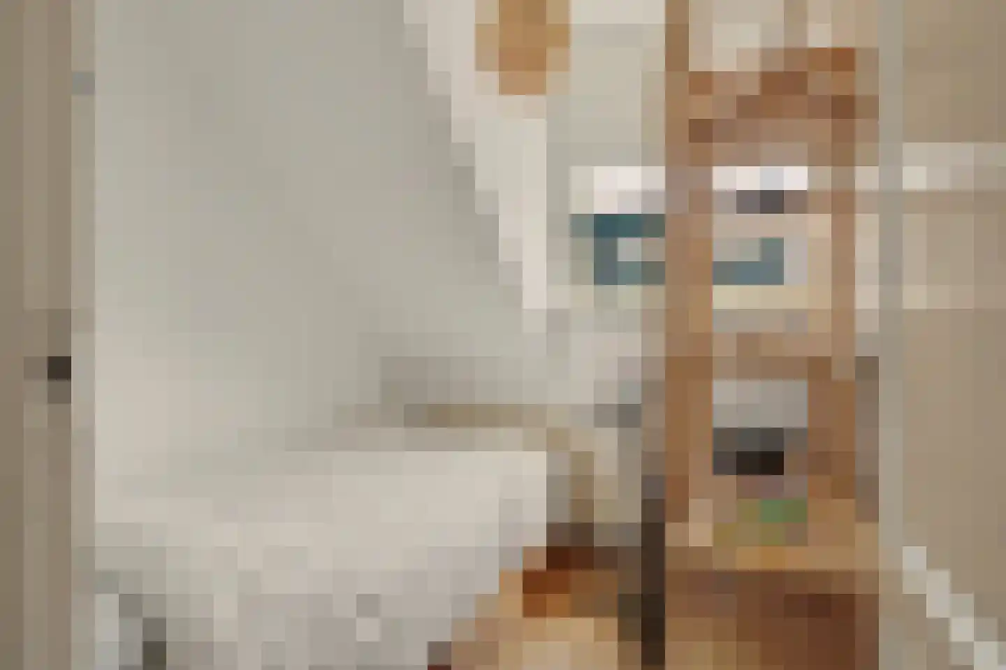 Julianastraat 10 Ooltgensplaat thumbnail 15
