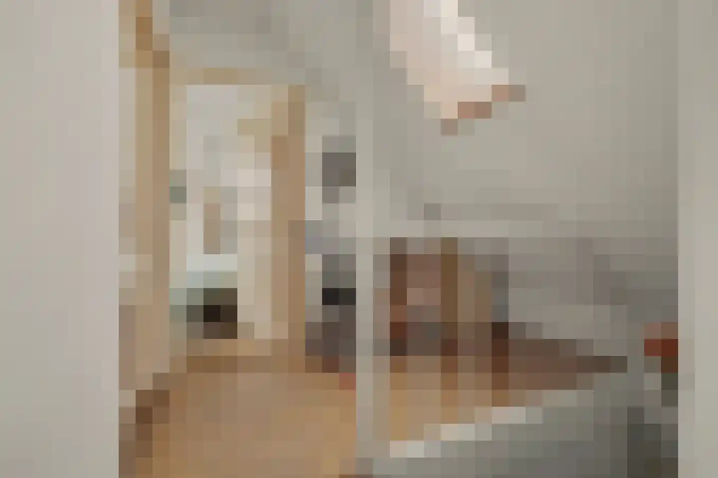 Julianastraat 10 Ooltgensplaat thumbnail 16