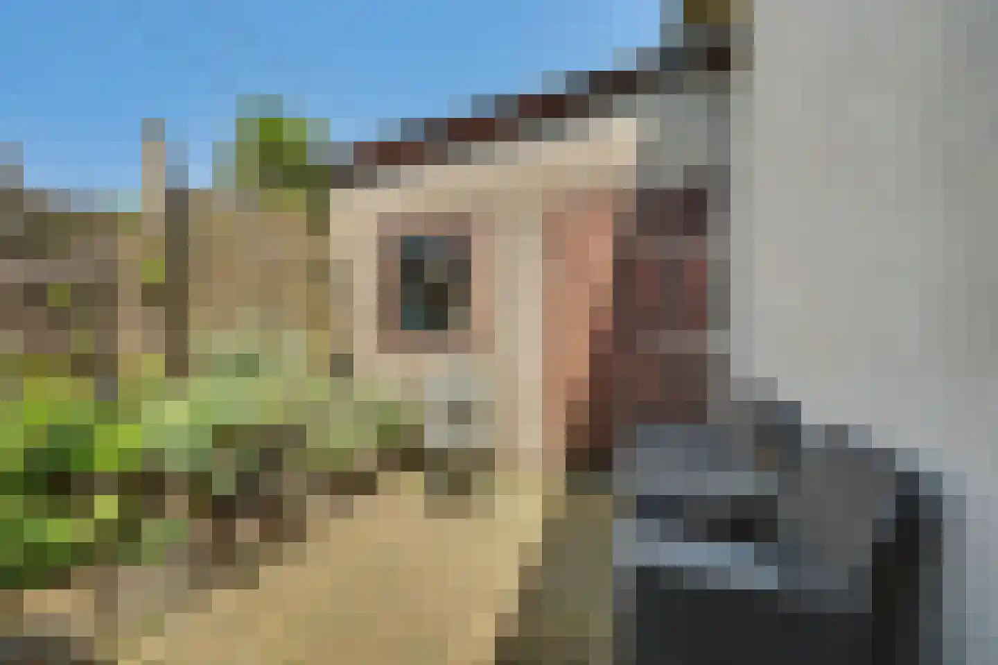 Julianastraat 10 Ooltgensplaat thumbnail 20