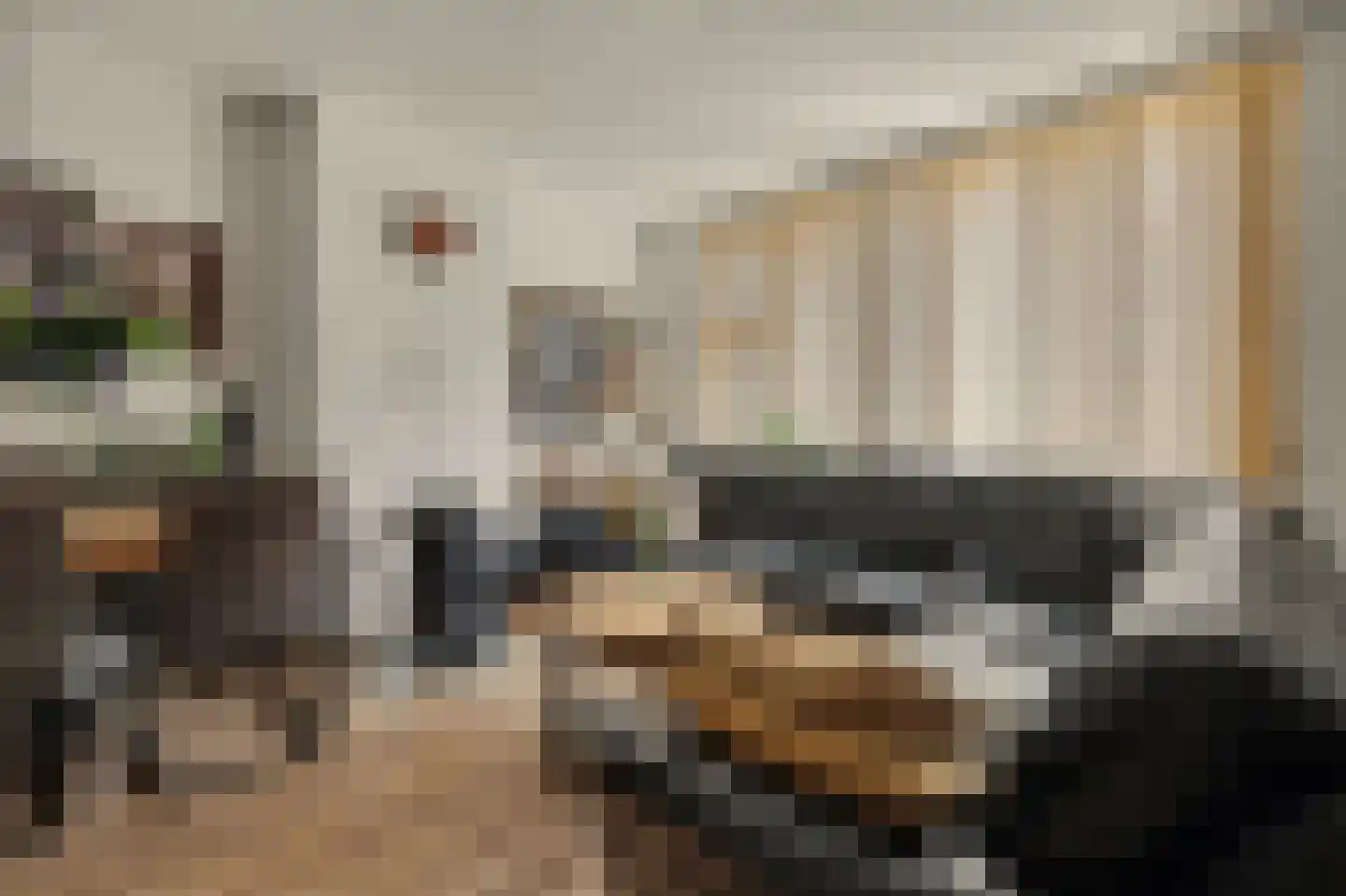 Julianastraat 10 Ooltgensplaat thumbnail 8