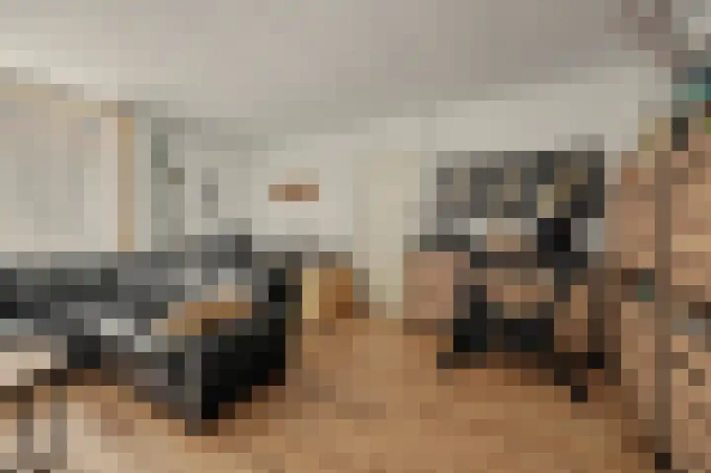 Julianastraat 10 Ooltgensplaat thumbnail 9