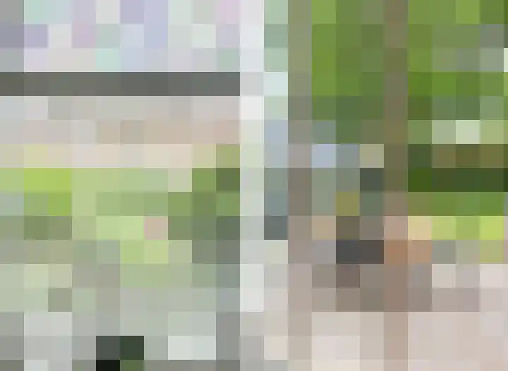 Julianastraat 10 Oost-Souburg thumbnail 12