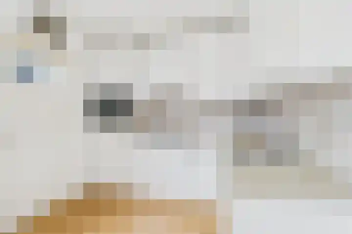Julianastraat 10 Oost-Souburg thumbnail 17