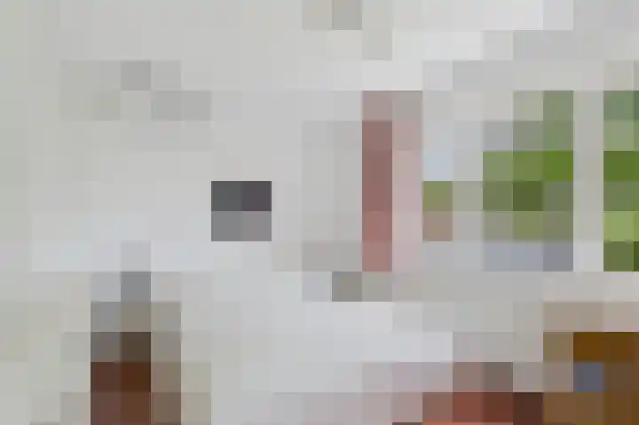 Julianastraat 10 Oost-Souburg thumbnail 27