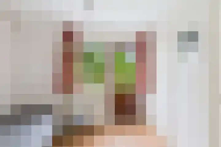Julianastraat 10 Oost-Souburg thumbnail 29