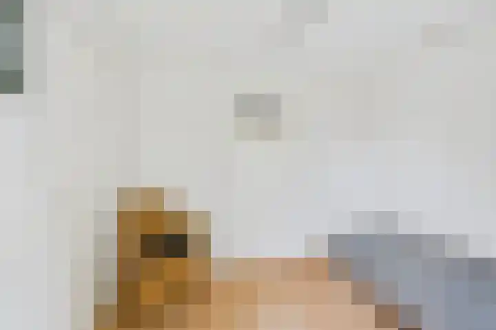 Julianastraat 10 Oost-Souburg thumbnail 30