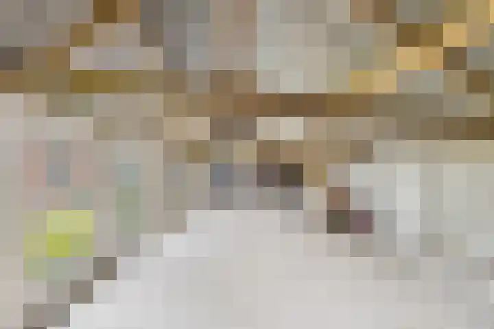 Julianastraat 10 Oost-Souburg thumbnail 34