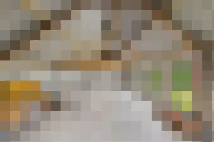 Julianastraat 10 Oost-Souburg thumbnail 35