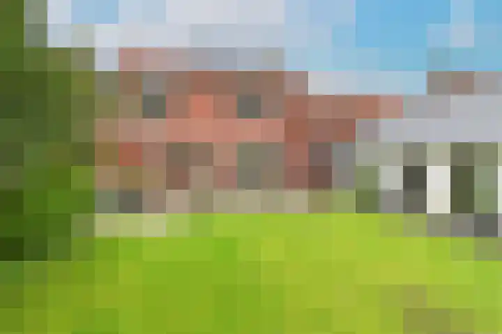 Julianastraat 10 Oost-Souburg thumbnail 37