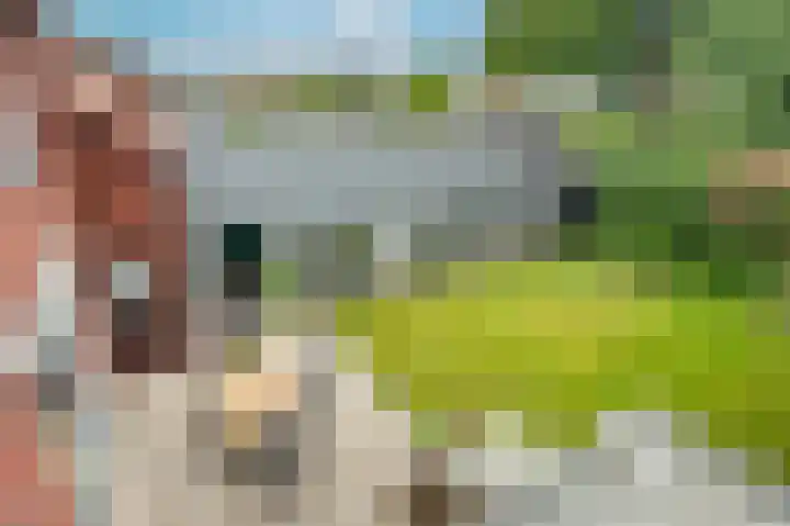 Julianastraat 10 Oost-Souburg thumbnail 41