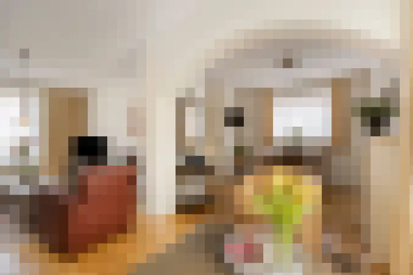 Julianastraat 10 Panningen thumbnail 12