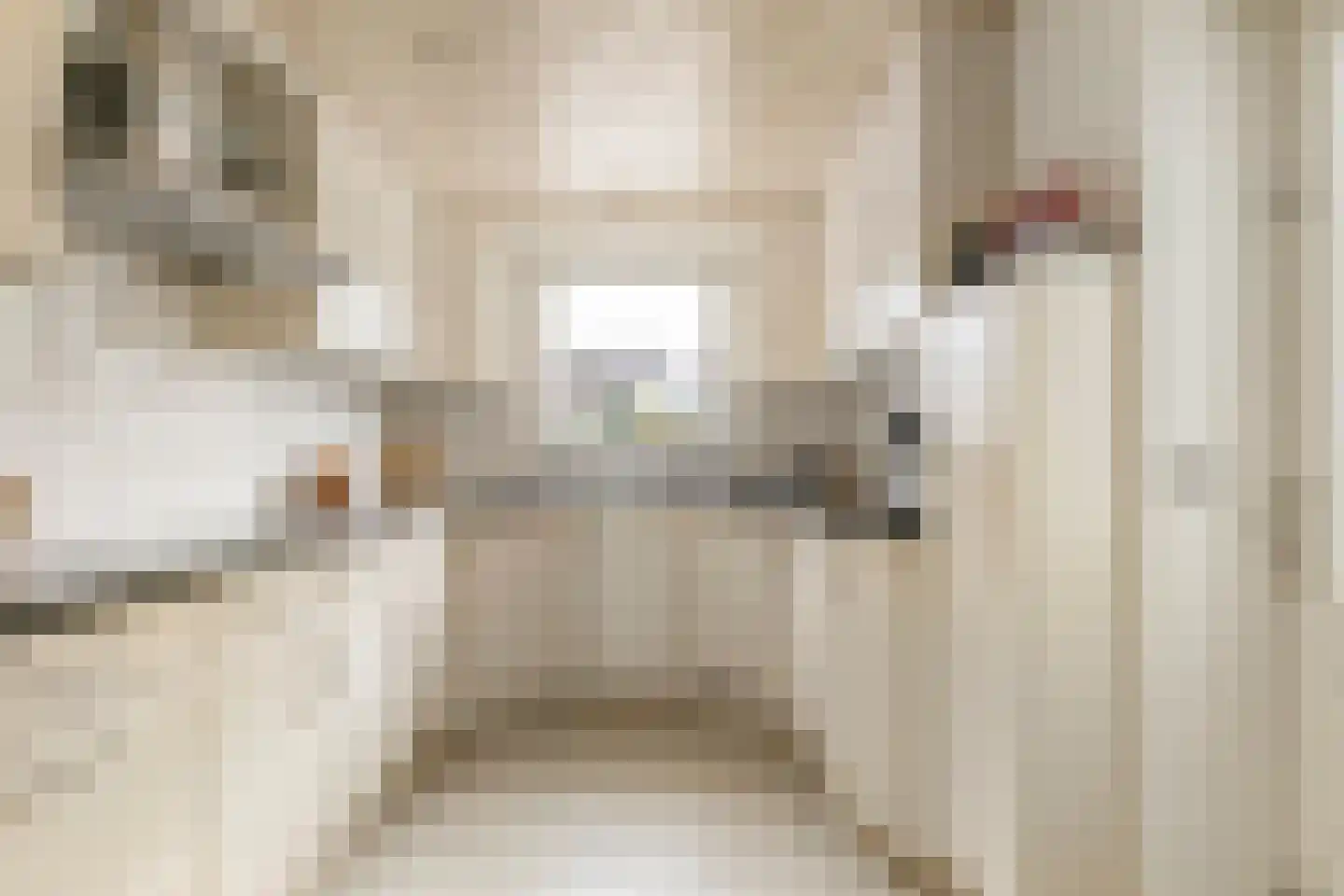 Julianastraat 10 Panningen thumbnail 15