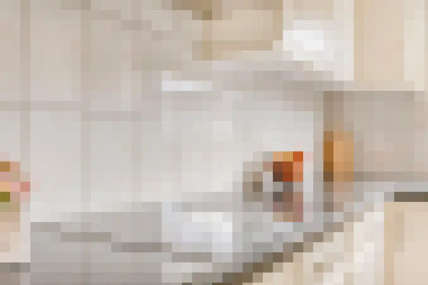 Julianastraat 10 Panningen thumbnail 17