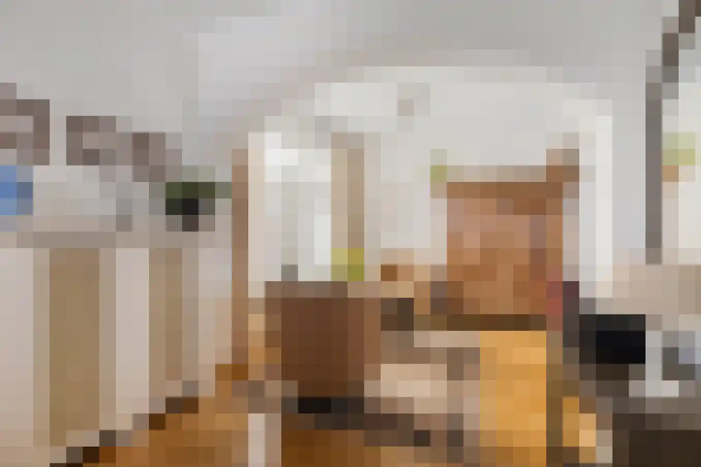 Julianastraat 10 Panningen thumbnail 9