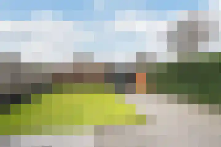 Julianastraat 10 Sint-Annaland thumbnail 34