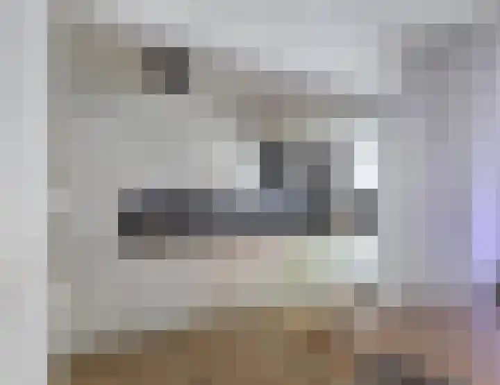 Julianastraat 10 Terneuzen thumbnail 10