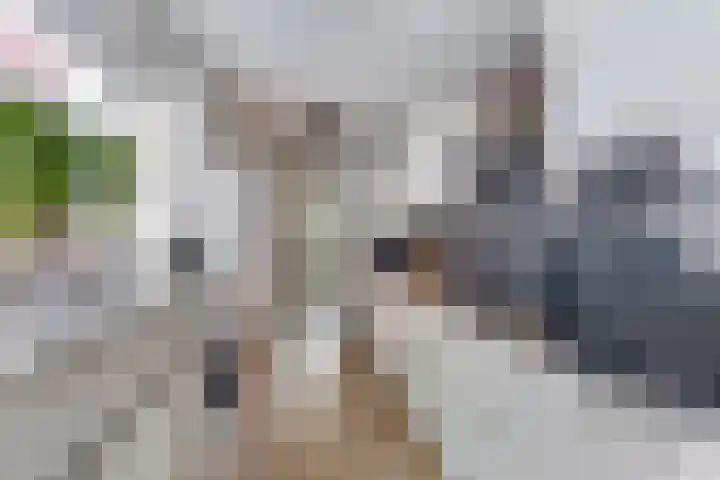 Julianastraat 10 Terneuzen thumbnail 11