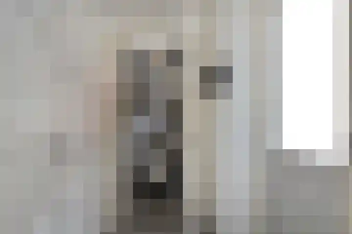 Julianastraat 10 Terneuzen thumbnail 13