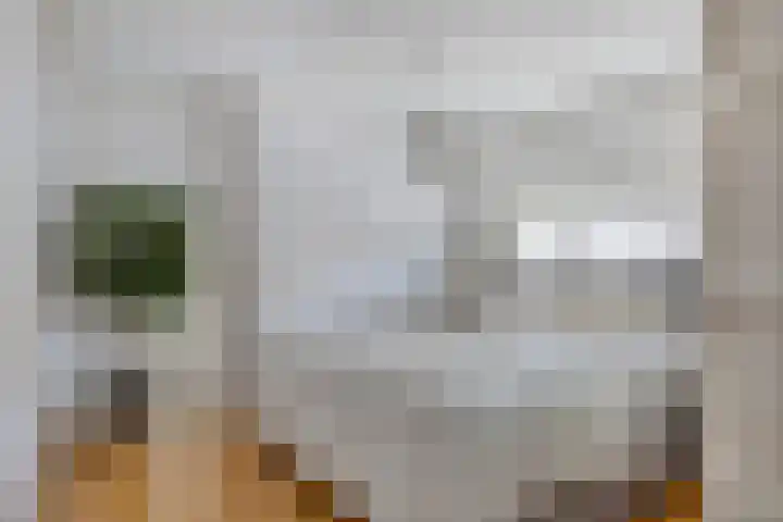 Julianastraat 10 Terneuzen thumbnail 19