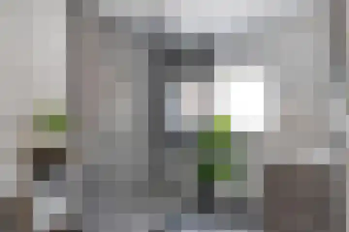 Julianastraat 10 Terneuzen thumbnail 21
