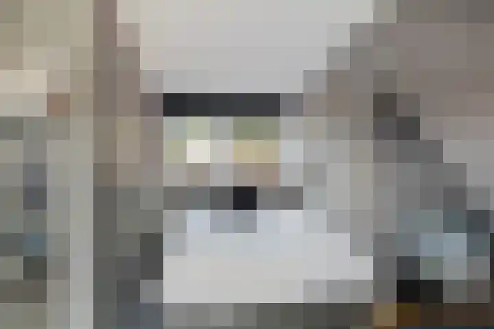 Julianastraat 10 Terneuzen thumbnail 25