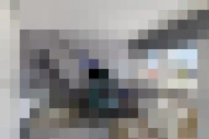 Julianastraat 10 Terneuzen thumbnail 26