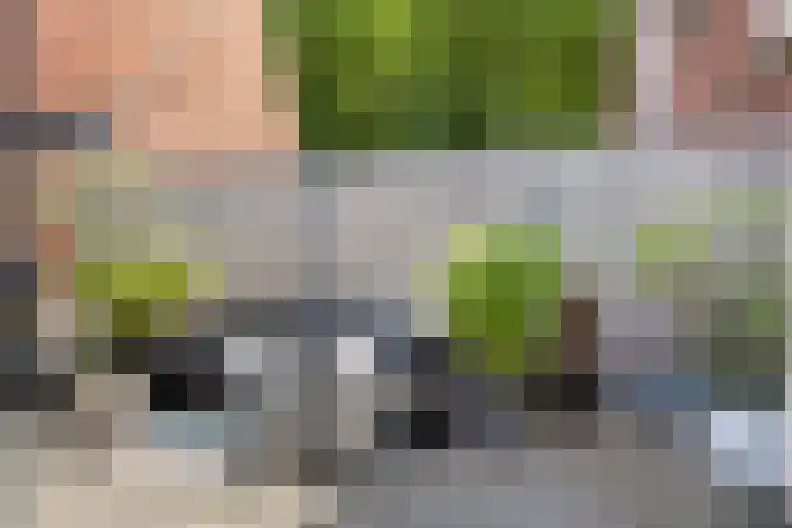 Julianastraat 10 Terneuzen thumbnail 29