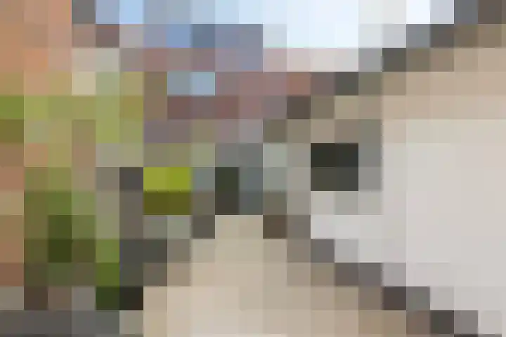 Julianastraat 10 Terneuzen thumbnail 31