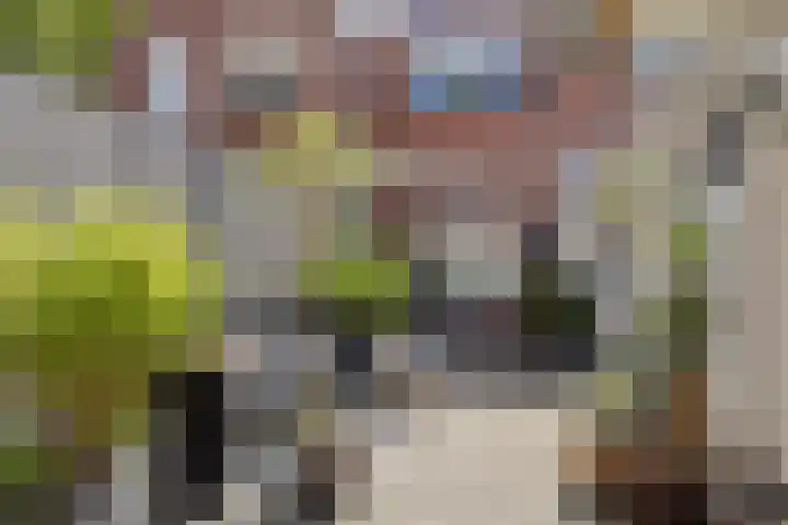 Julianastraat 10 Terneuzen thumbnail 32
