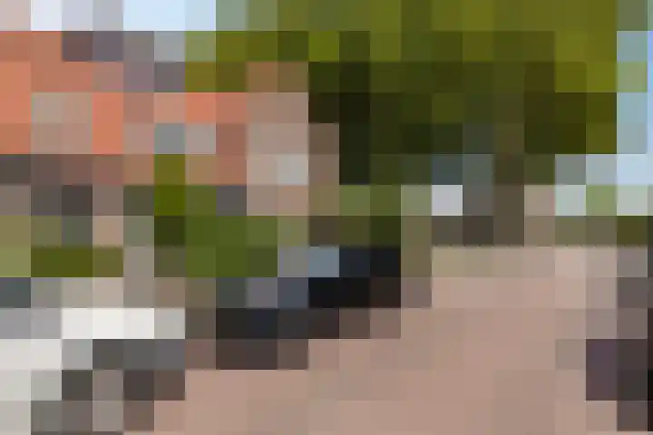 Julianastraat 10 Terneuzen thumbnail 34