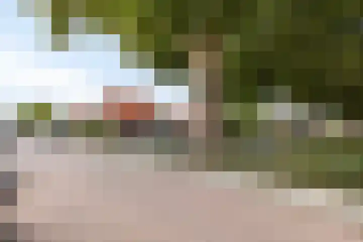 Julianastraat 10 Terneuzen thumbnail 35