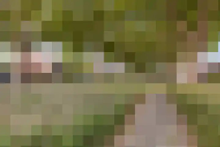 Julianastraat 10 Terneuzen thumbnail 36