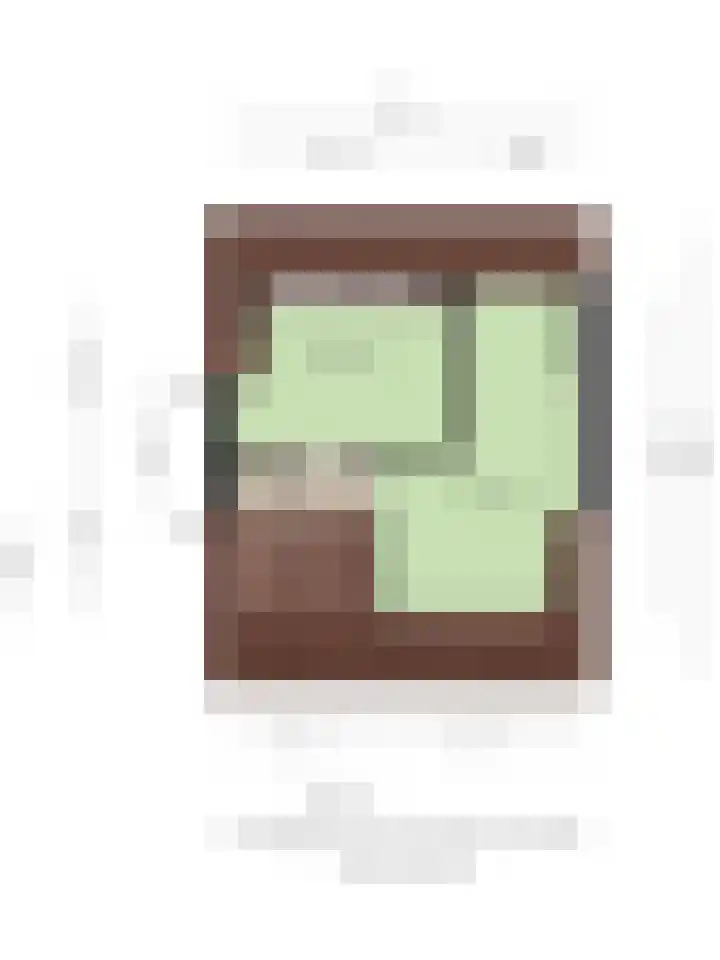 Julianastraat 10 Terneuzen thumbnail 39