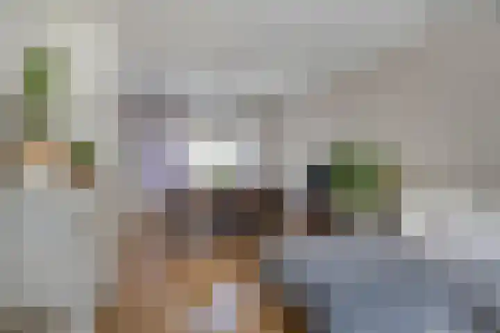 Julianastraat 10 Terneuzen thumbnail 5