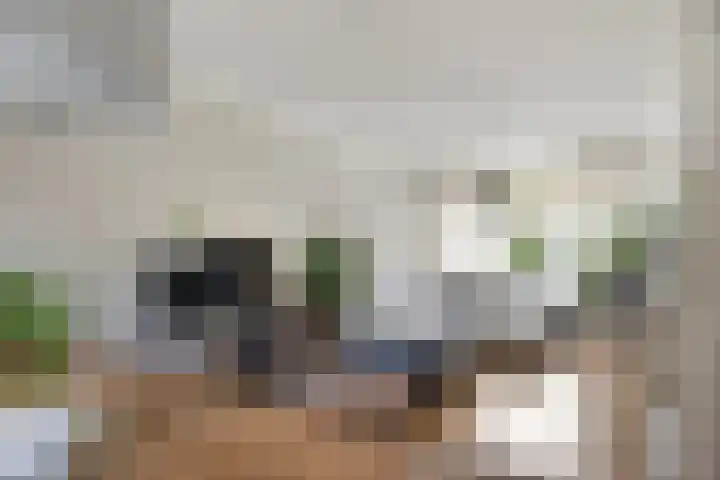 Julianastraat 10 Terneuzen thumbnail 6