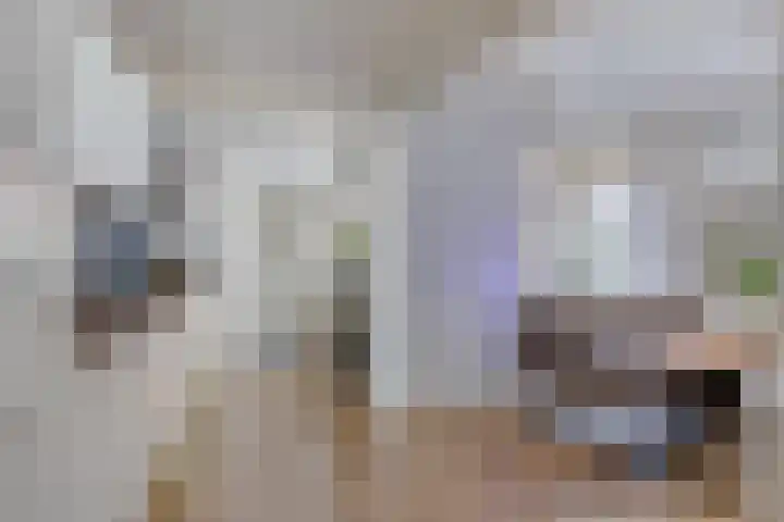 Julianastraat 10 Terneuzen thumbnail 9