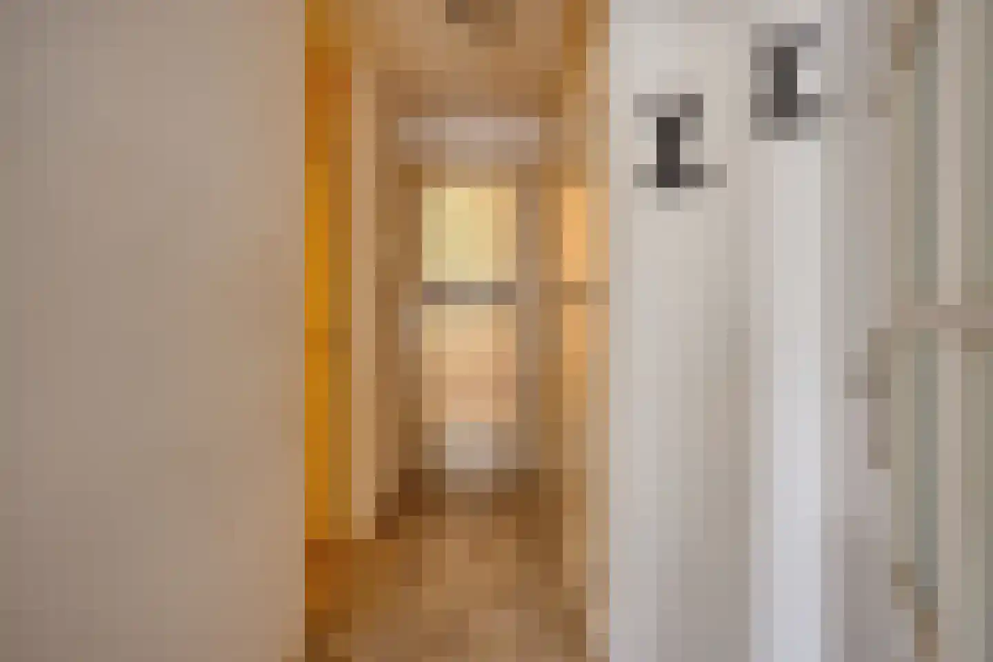 Julianastraat 10 Uden thumbnail 6