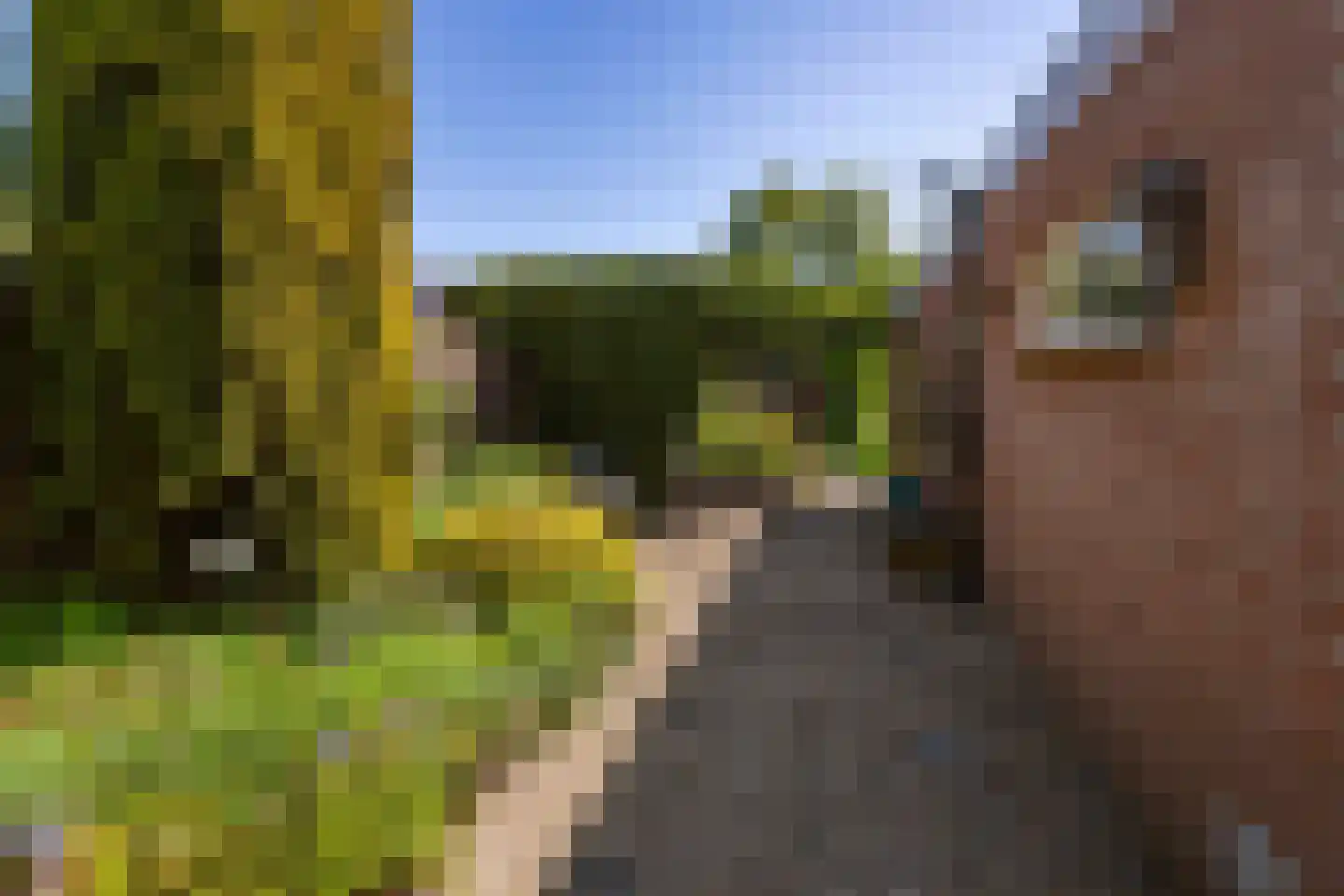 Julianastraat 10 Veenendaal thumbnail 25