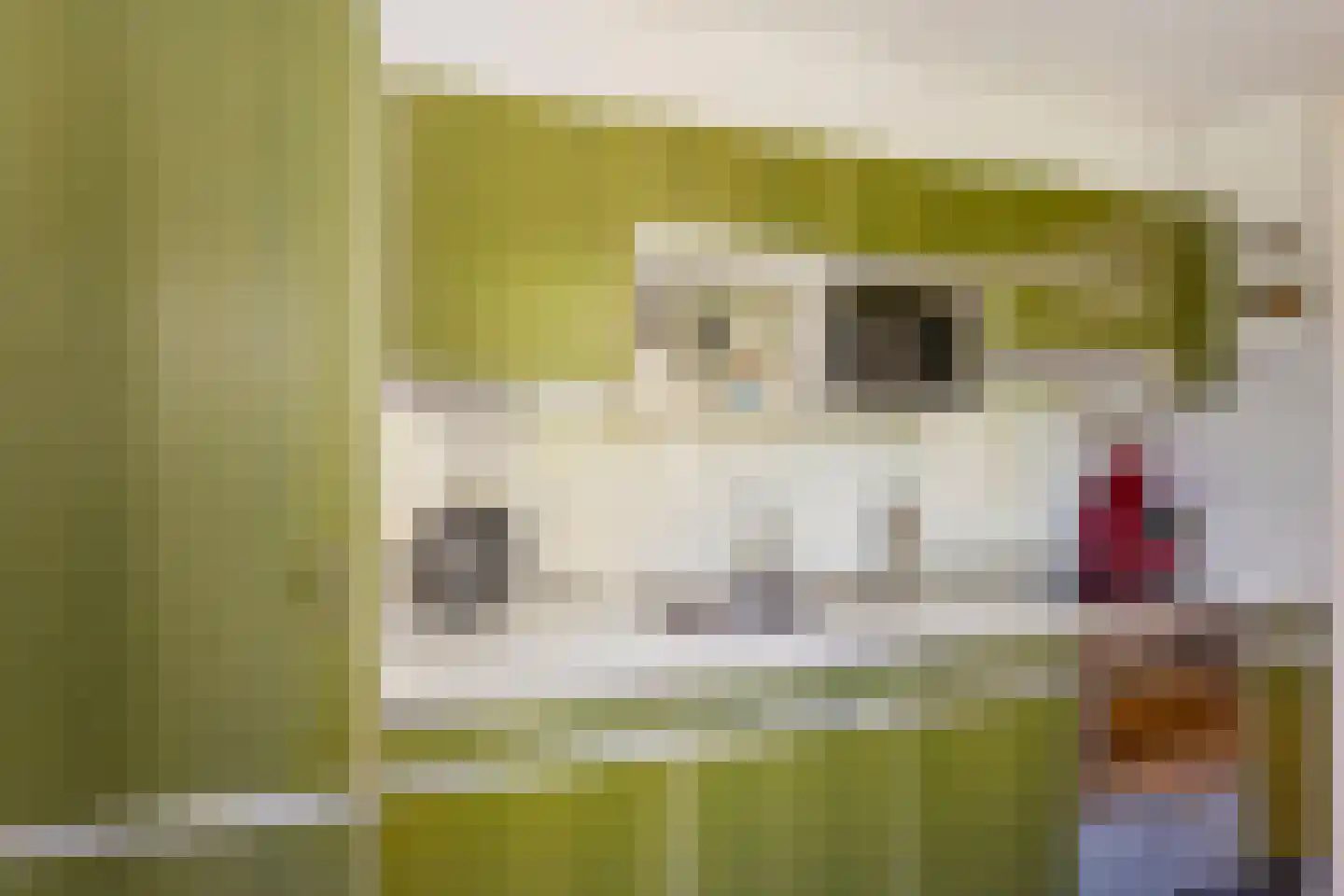 Julianastraat 10 Veenendaal thumbnail 9