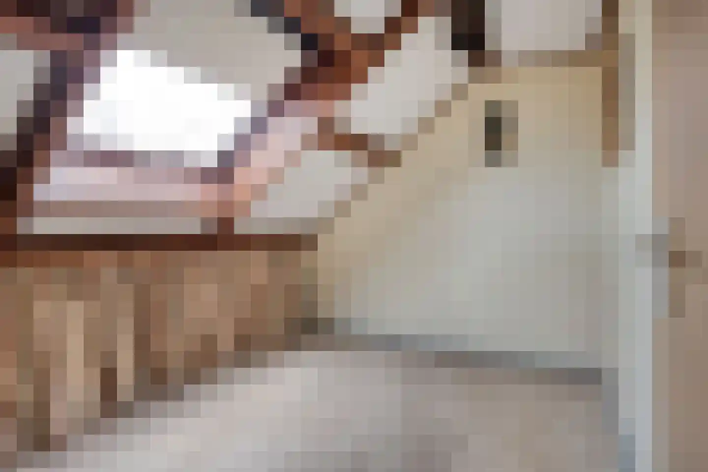 Julianastraat 105 Heikant thumbnail 17
