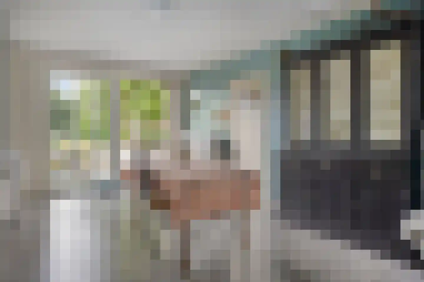 Julianastraat 105 Heikant thumbnail 8