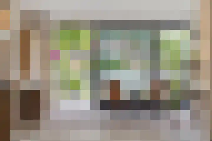 Julianastraat 11 A Valkenswaard thumbnail 16