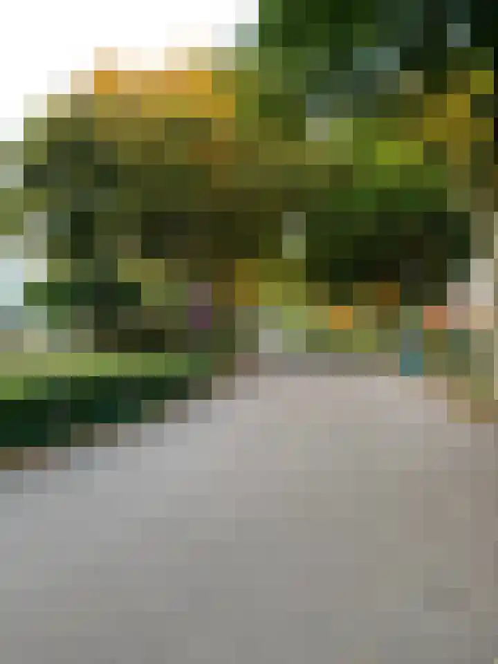 Julianastraat 11 A Valkenswaard thumbnail 5