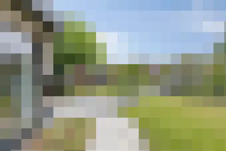Julianastraat 11 A Valkenswaard thumbnail 51