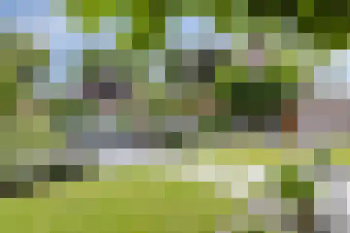 Julianastraat 11 A Valkenswaard thumbnail 52