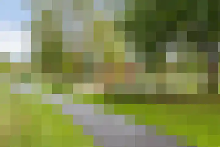 Julianastraat 11 A Valkenswaard thumbnail 58