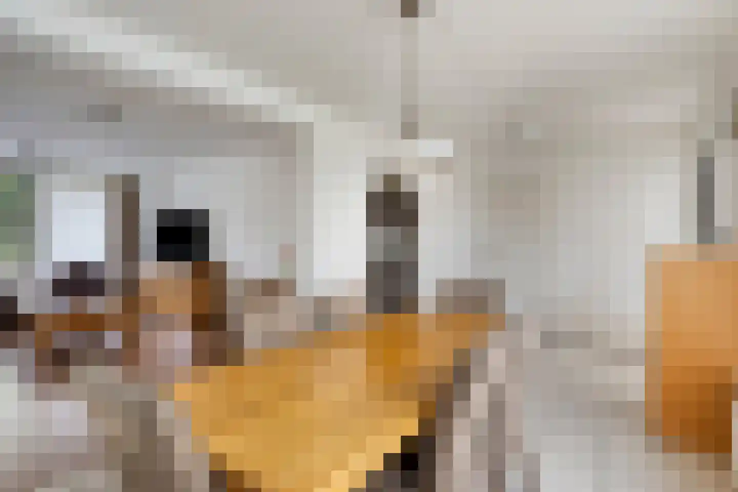 Julianastraat 11 Bakel thumbnail 11