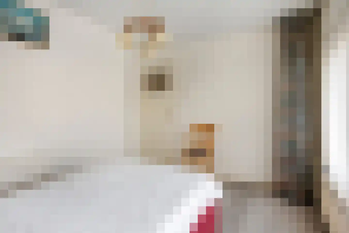 Julianastraat 11 Bakel thumbnail 22