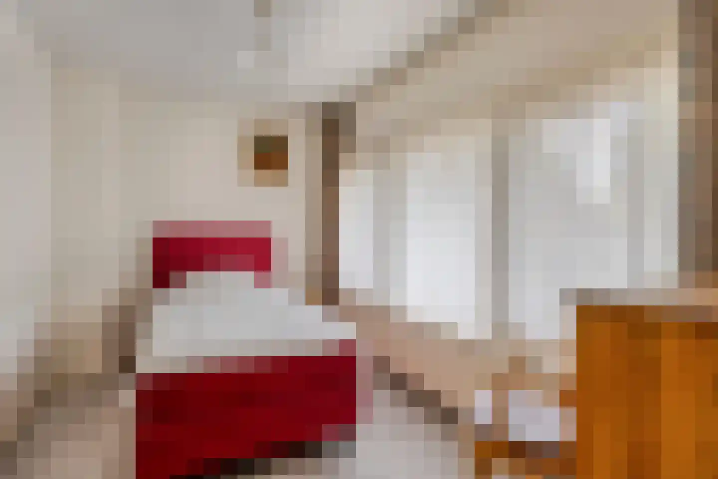 Julianastraat 11 Bakel thumbnail 24